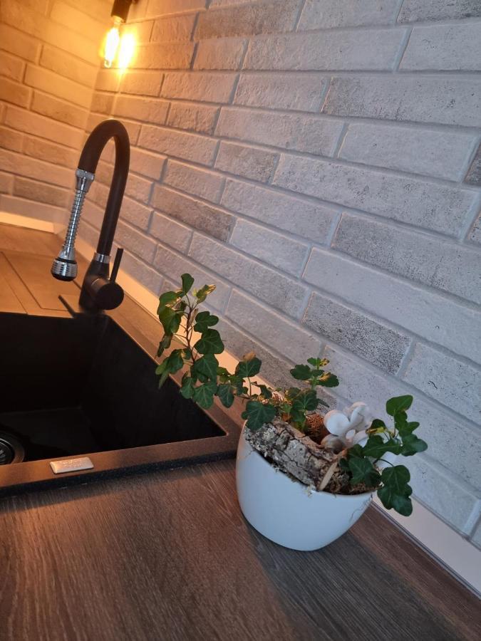 Apartament The Cozy Bunker Sybin Zewnętrze zdjęcie